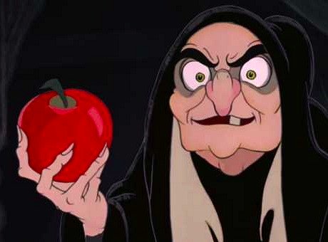 Understanding the “Fruit of the Poison Tree” Doctrine