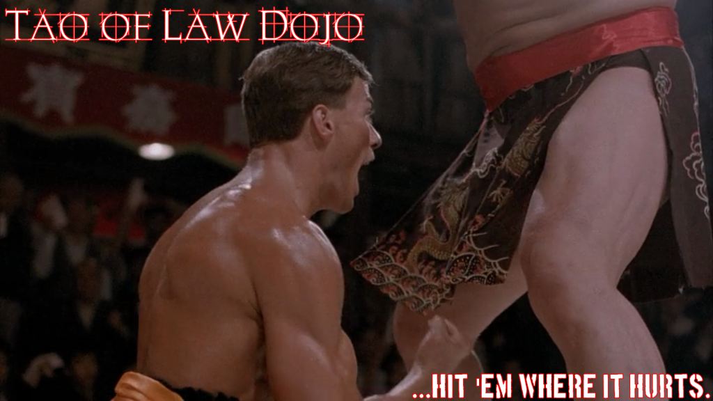 Actual Defense Motions & Criminal Complaint for Challenging Texas Transportation Code Cases.